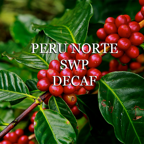 Peru Norte Select Water Process Decaf