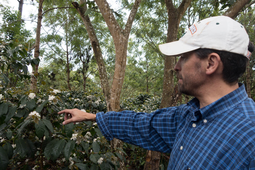 Meet the Producer Event June 7th, 2017: Victor Calderon of Finca El Tambor