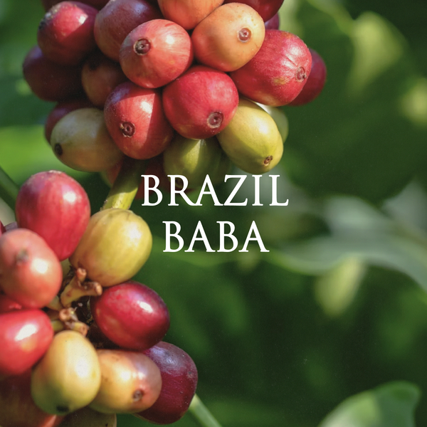 Brazil Baba (Pulped Natural)