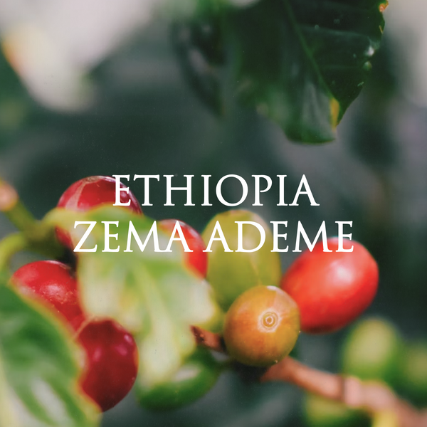 Ethiopia Zema Ademe (Natural)