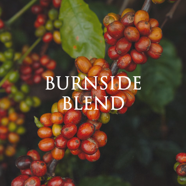 Burnside Blend
