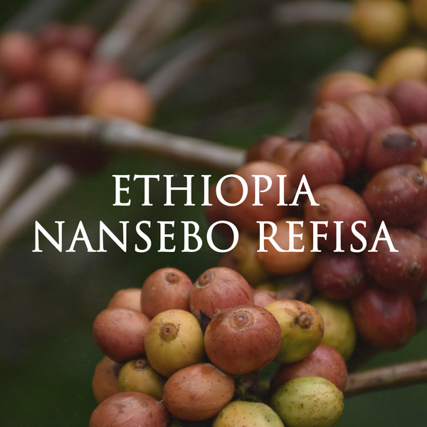 Ethiopia Nansebo Refisa (washed)