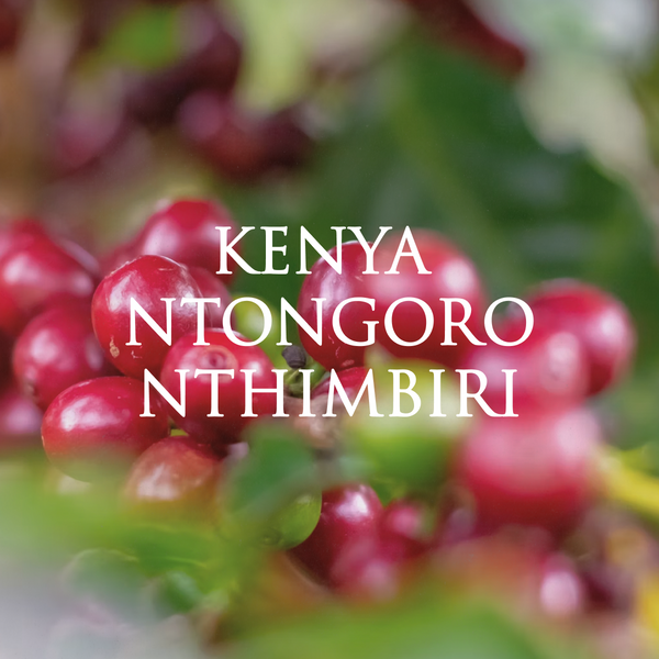 Kenya Ntongoro Nthimbiri