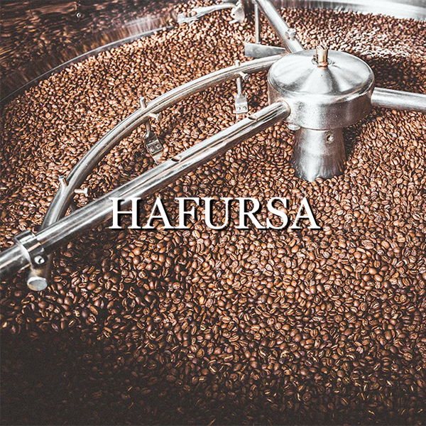 Ethiopia Hafursa Washed