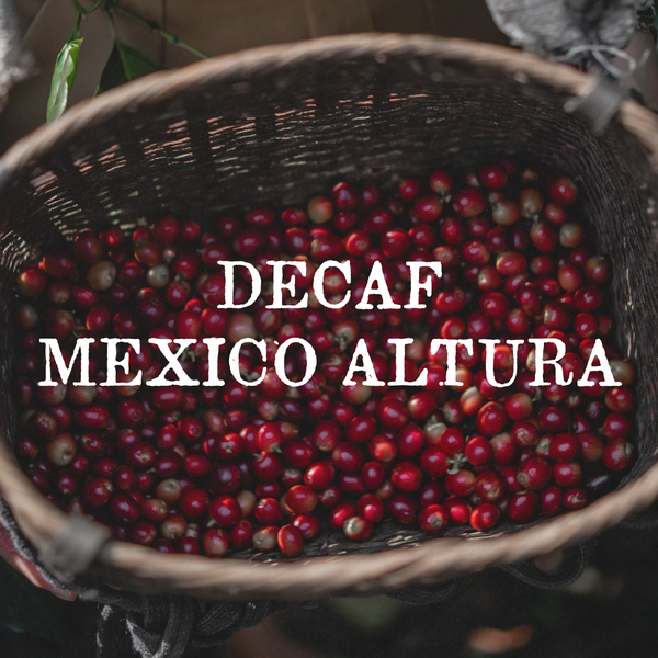 Decaf Mexico Altura (SWP)