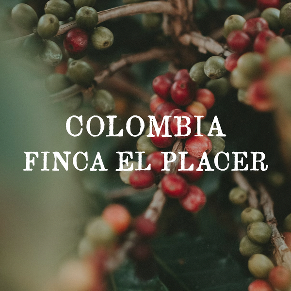 Colombia Finca El Placer (washed)
