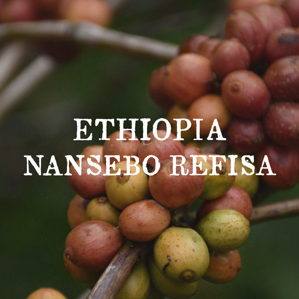 Ethiopia Nansebo Refisa (washed)