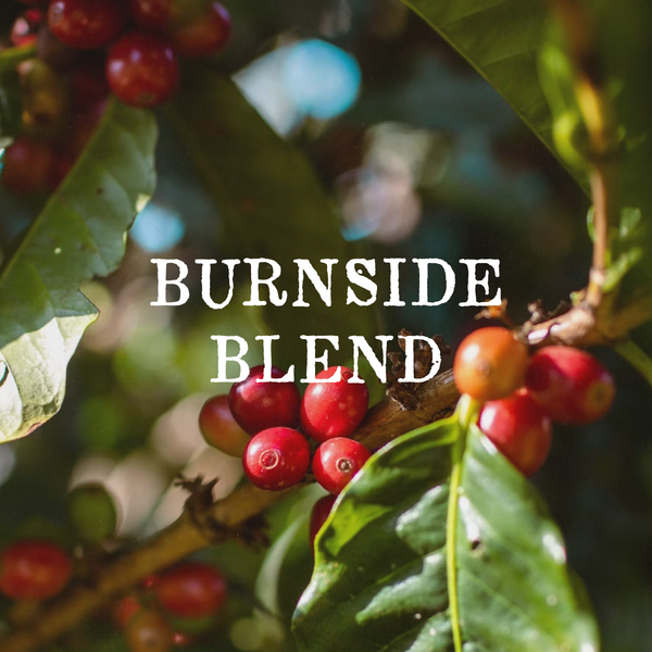 Burnside Blend