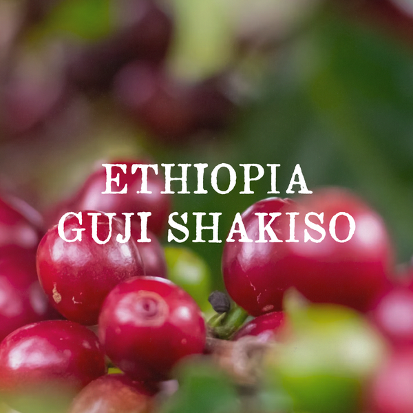 Ethiopia Guji Shakiso (Natural)