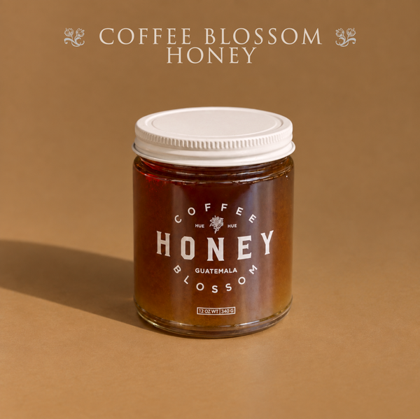 Guatemalan Coffee Blossom Honey