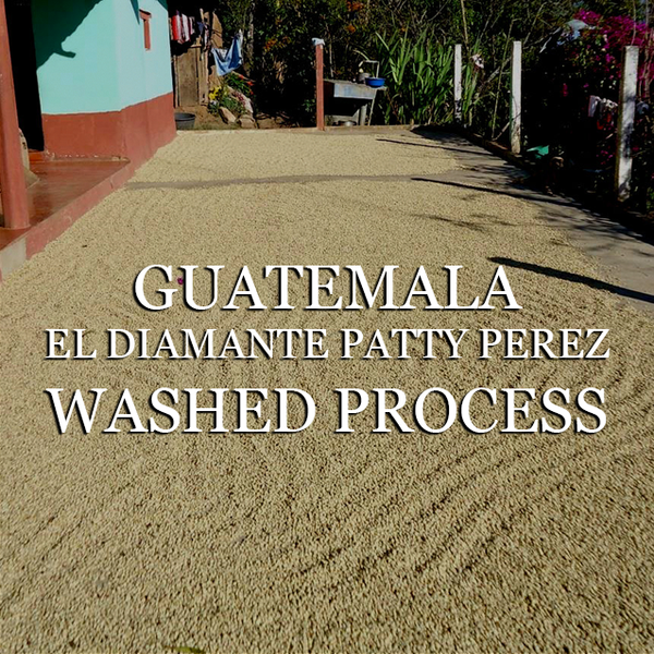 Guatemala El Diamante Paty Perez - Washed Process
