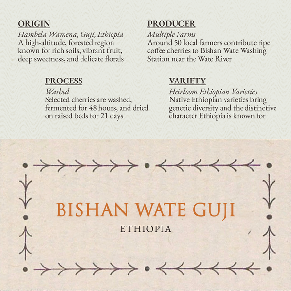 Ethiopia Guji Bishan Wate (Washed)