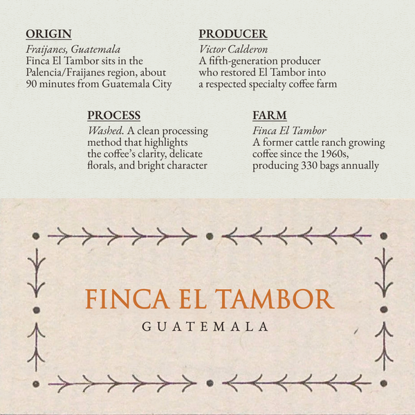Guatemala Finca El Tambor (Washed)