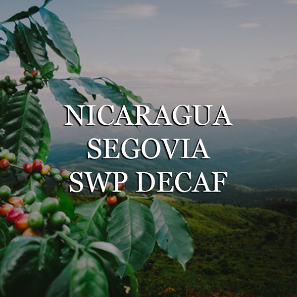 DECAF: Nicaragua Segovia - Swiss Water Process