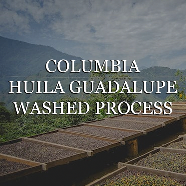 Colombia Huila Guadalupe - Washed Process