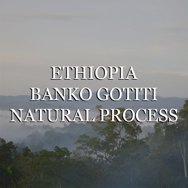Ethiopia Banko Gotiti - Natural Process