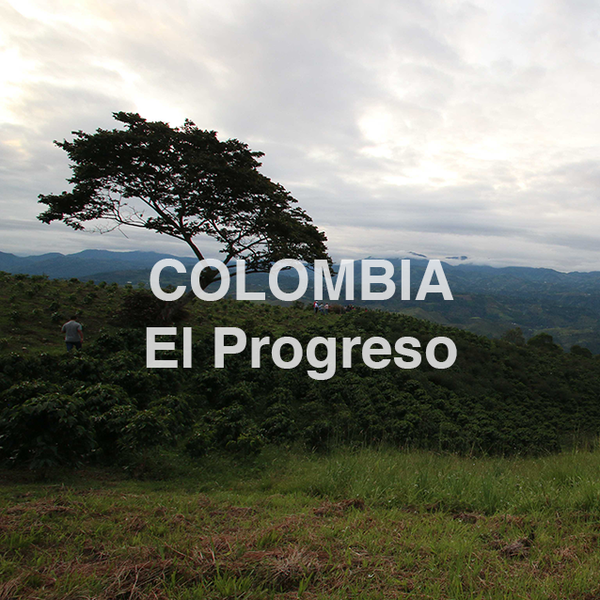 Colombia Finca El Progreso