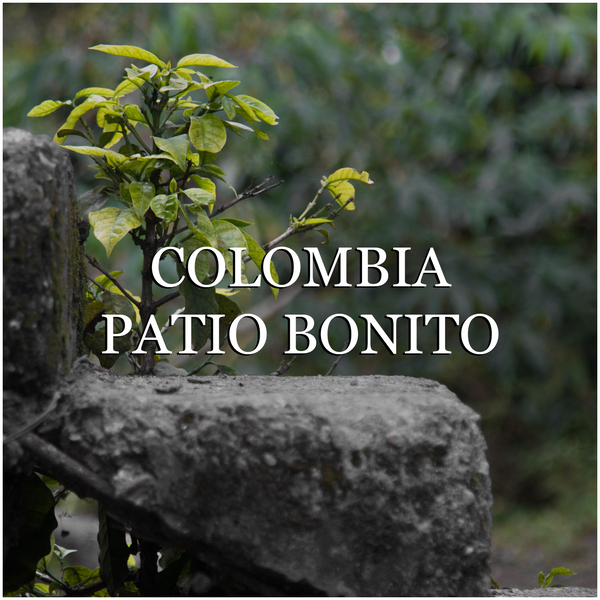 Colombia Patio Bonito (Natural)
